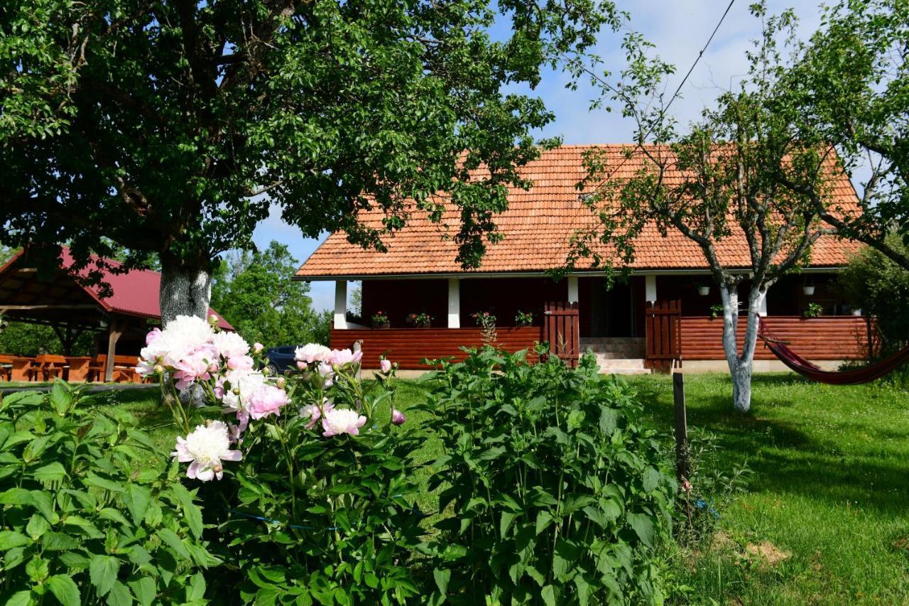 House Luna Раковица Экстерьер фото
